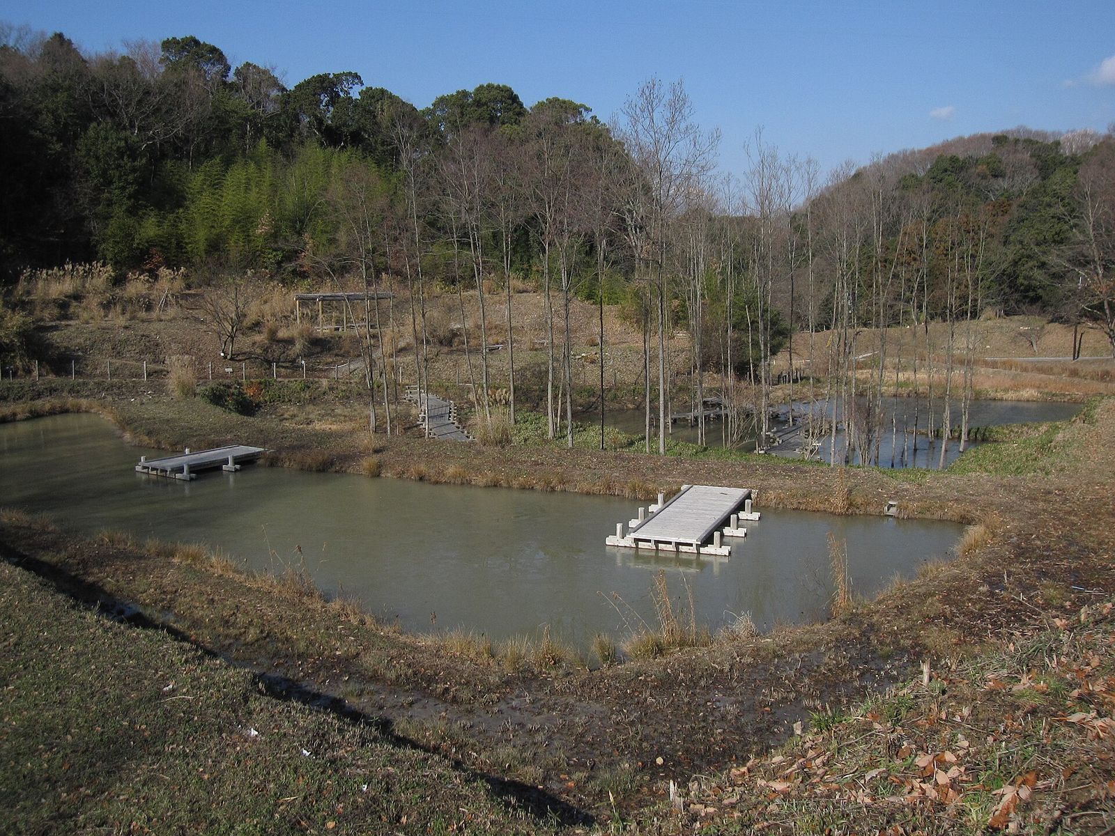 あいな里山公園の池と里山（冬）