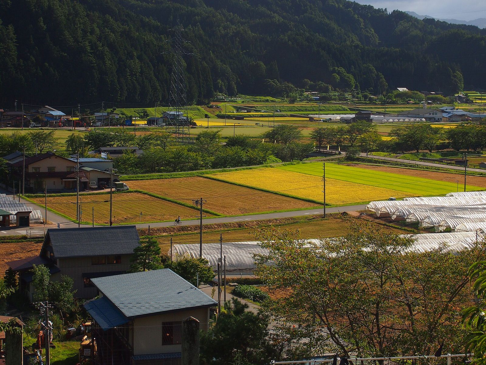 参考：秋の里山の風景（岐阜県）