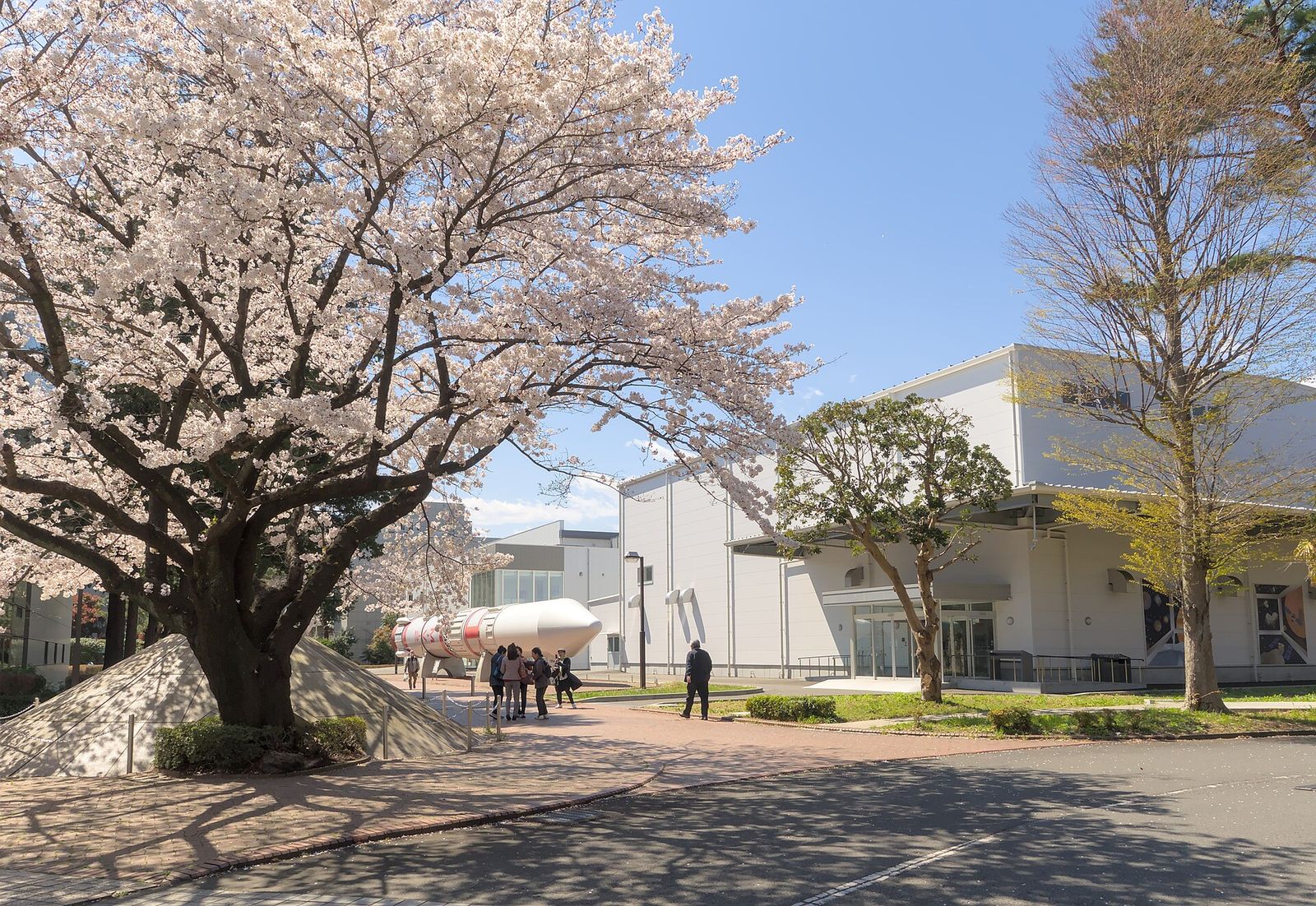 桜の季節のJAXA相模原キャンパス