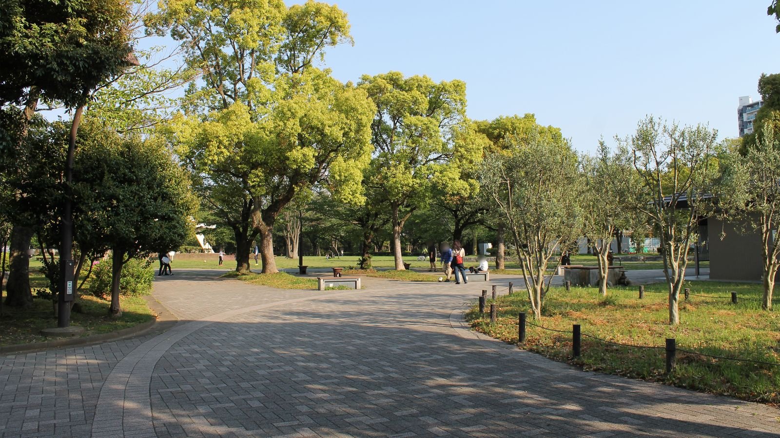 木々に囲まれた亀戸中央公園の園路