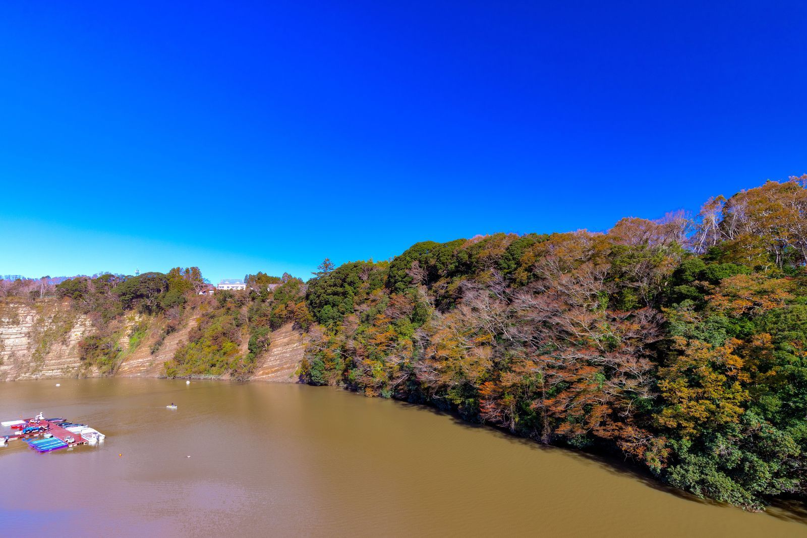 紅葉に色づく亀山湖畔の山（11月）