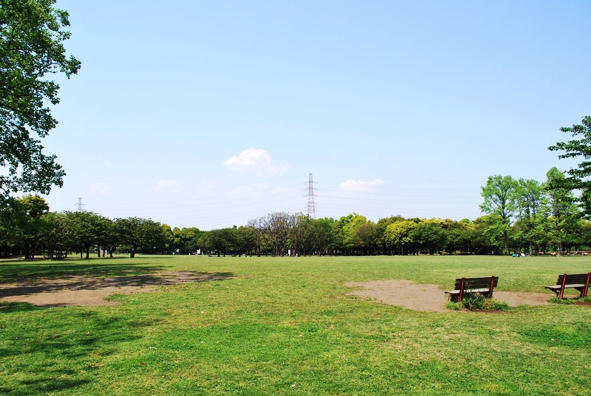 岸根公園の芝生広場