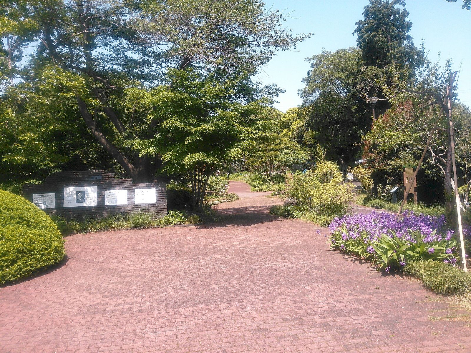 横浜市こども植物園の園路と花壇
