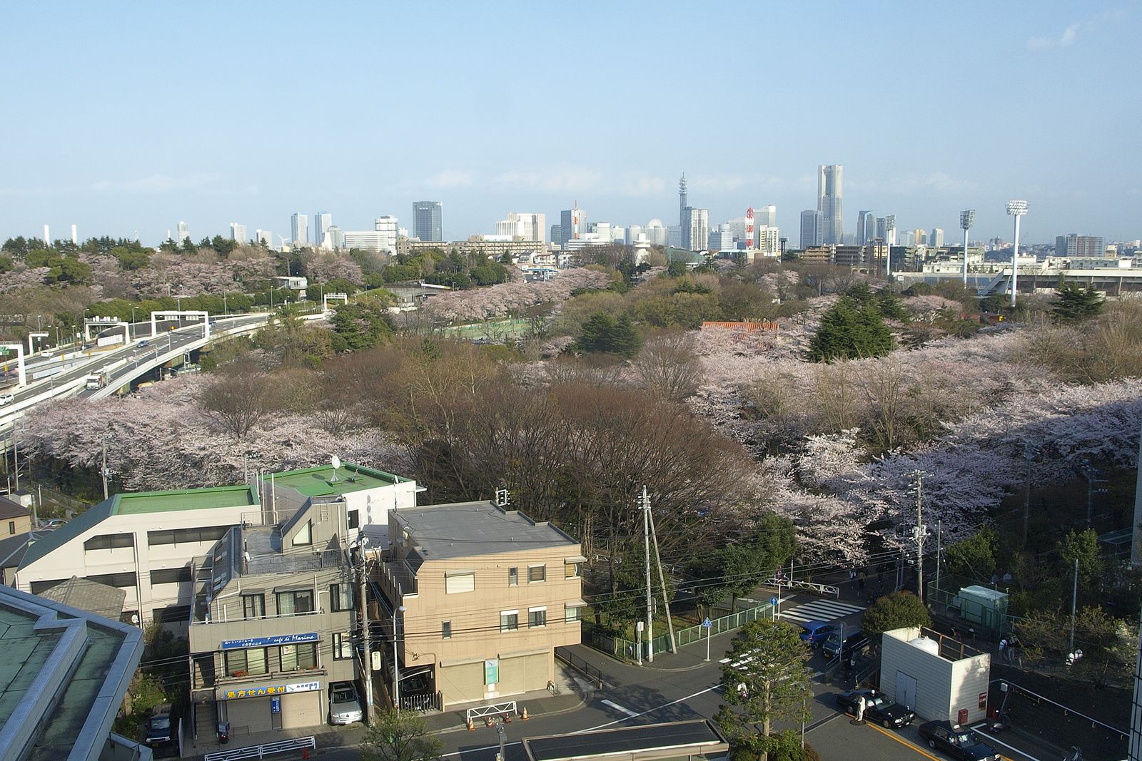 三ツ沢公園から見た横浜の街並み