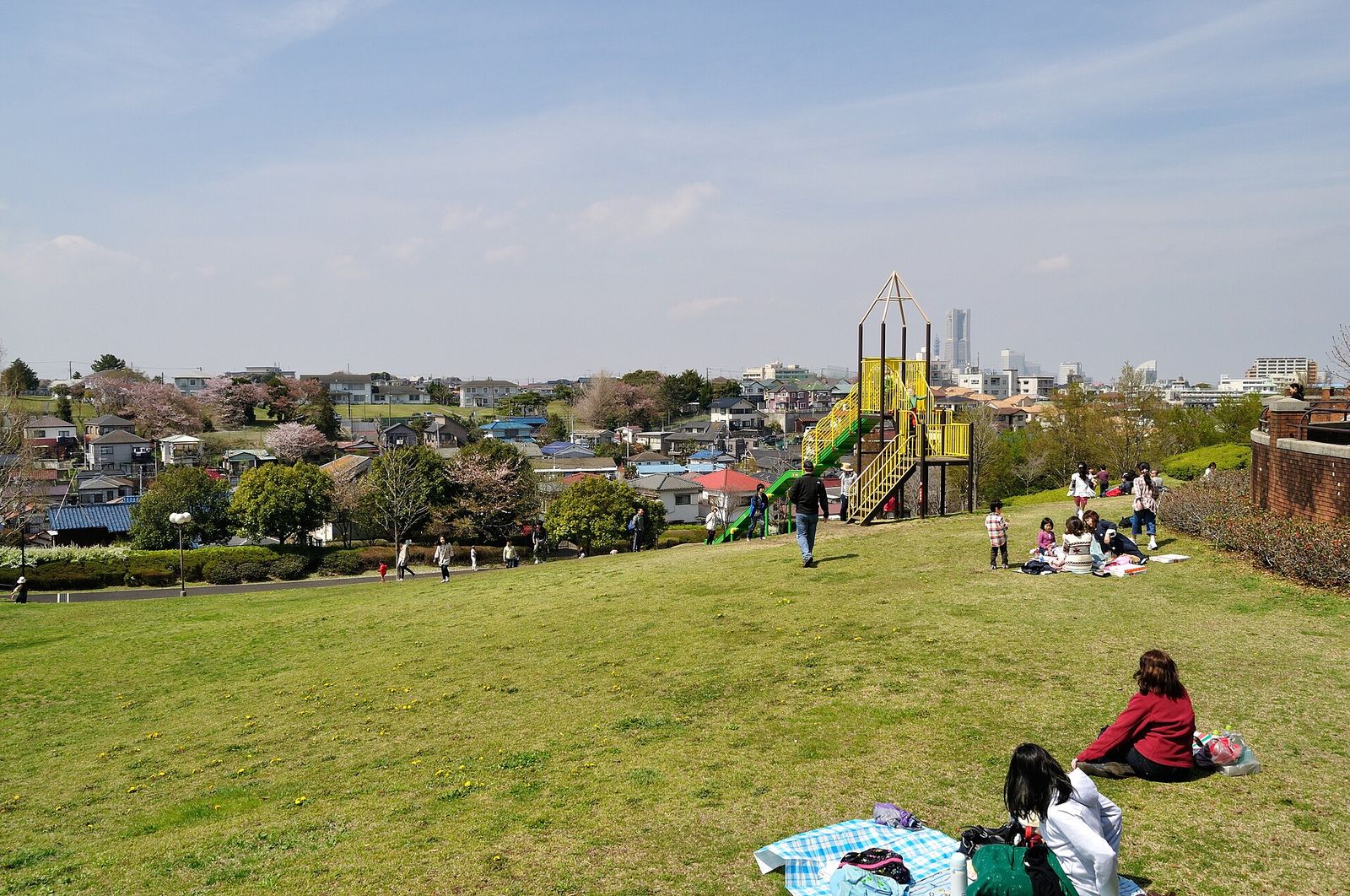 根岸森林公園の芝生広場と遊具