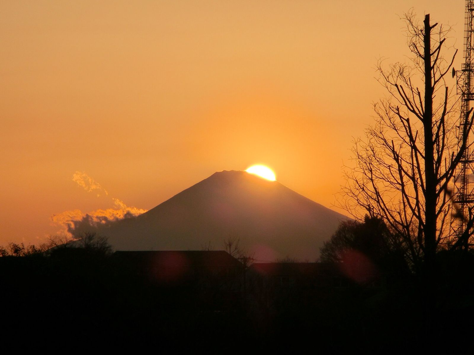 根岸森林公園から見る夕日と富士山