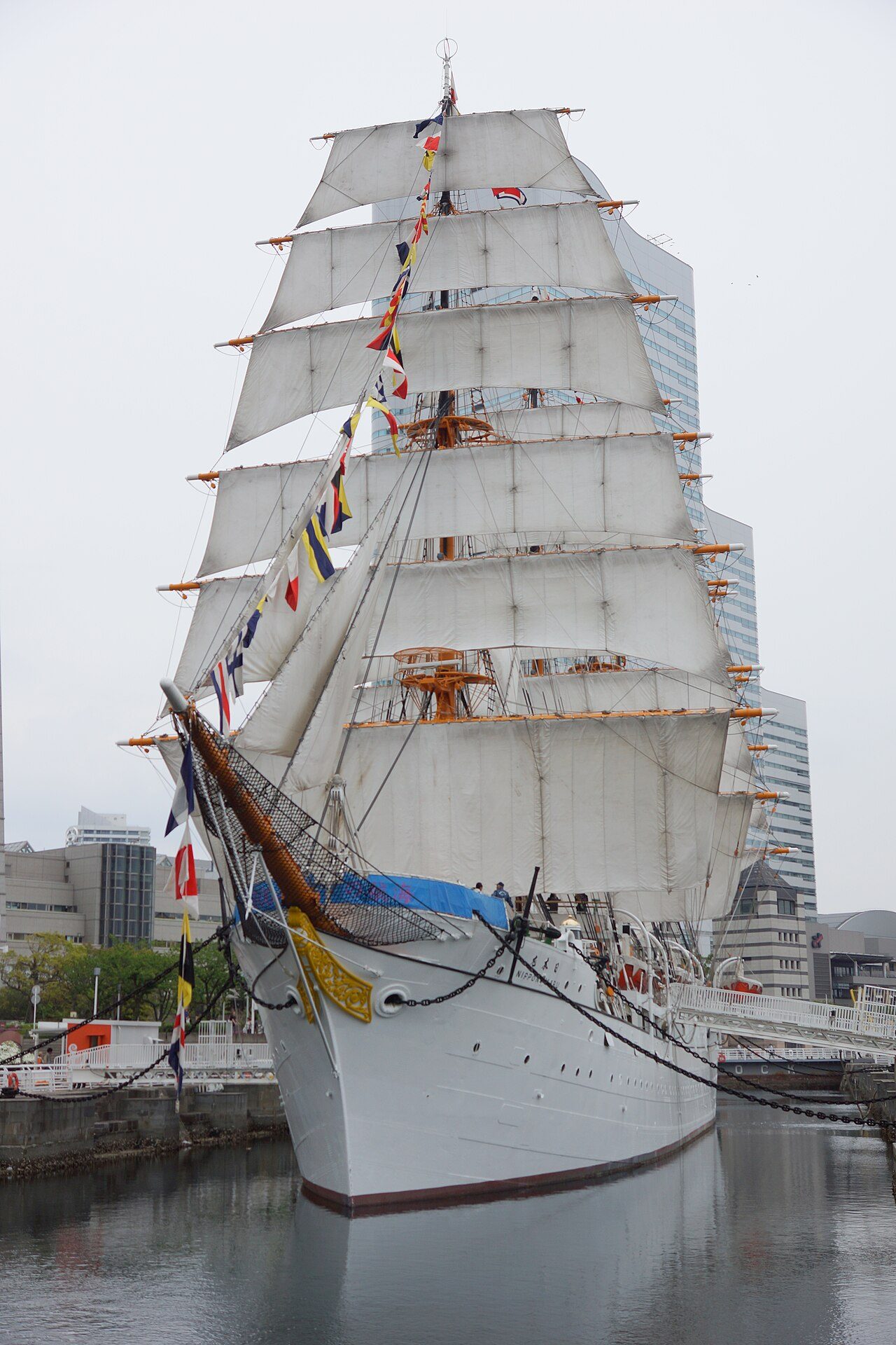 総帆展帆・満船飾の帆船日本丸（船首側から、縦構図）