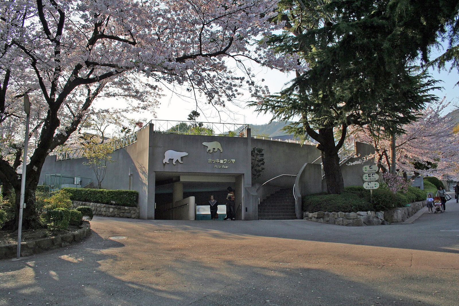 桜の季節の王子動物園