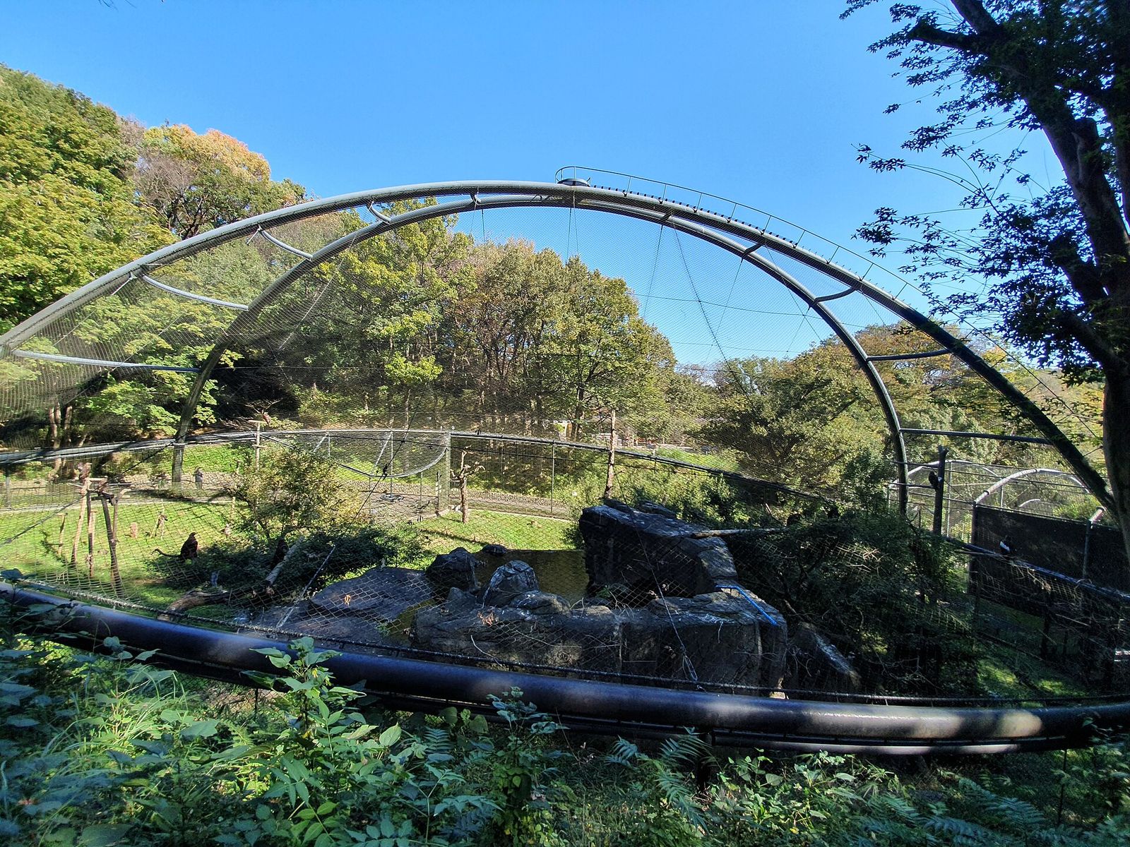 緑の中の大きな鳥舎（多摩動物公園）