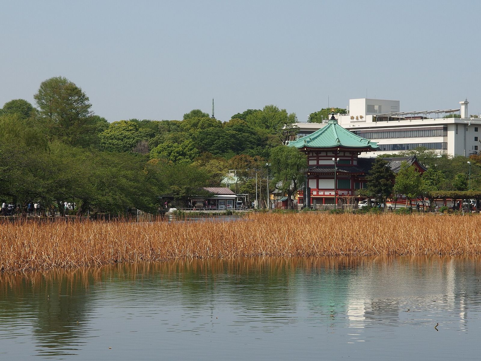 不忍池と弁天堂の眺め